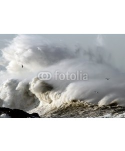 Zacarias da Mata, Stormy Waves