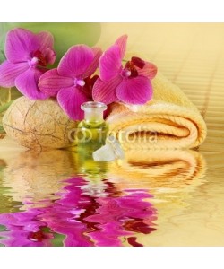 Floydine, Spa