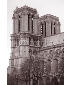 kevers, Notre Dame Cathedral in Paris, France