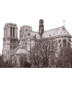 kevers, Notre Dame Cathedral in Paris, France