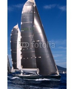 linous, Les Voiles de Saint Tropez