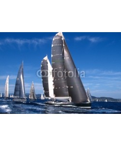 linous, Les Voiles de Saint Tropez