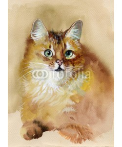 Nadiia Starovoitova, Red cat