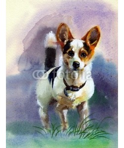 Nadiia Starovoitova, Watercolor Animal Collection: Dog