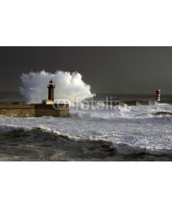 Zacarias da Mata, Porto Waves