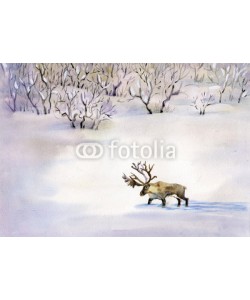 Nadiia Starovoitova, Deer in the snow