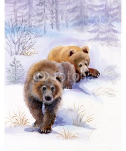 Nadiia Starovoitova, brown bears in the snow