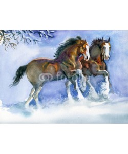 Nadiia Starovoitova, Horses running in winter