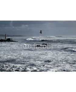 Zacarias da Mata, Blue winter seascape