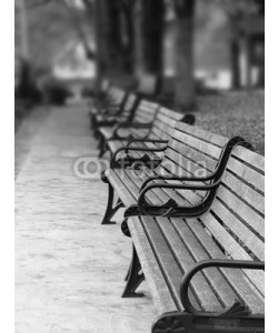 digerati, Paris Park Benches