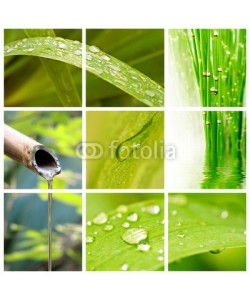 Delphotostock, Collage nature et eau