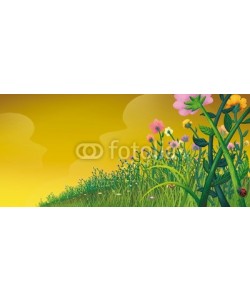 cirodelia, campo de flores