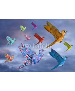 Paul Fleet, Origami Bird Dreamscape
