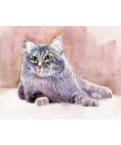 Nadiia Starovoitova, Animal Collection: Cat