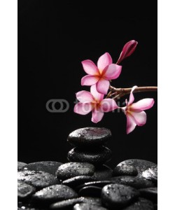 Mee Ting, frangipani and black pebbles