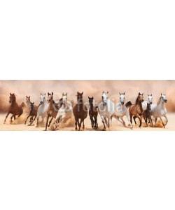 loya_ya, A herd of horses running on the sand storm