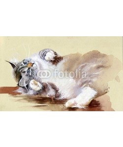 Nadiia Starovoitova, Watercolor Animal Collection: Cat