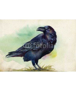 Nadiia Starovoitova, Black raven watercolor painting