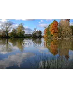 Paul Lampard, Autumn lake scene showing a strong reflection from the water