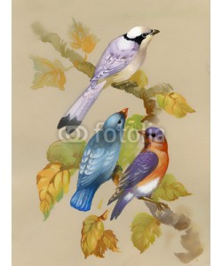 Nadiia Starovoitova, Birds on a blossoming tree