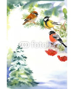 Nadiia Starovoitova, Two birds and bullfinch on the snowy branch