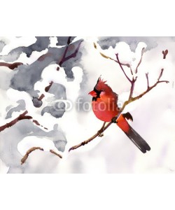Nadiia Starovoitova, Red bird on a branch with snow