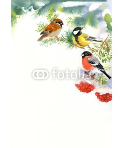 Nadiia Starovoitova, Two birds and bullfinch on the snowy branch