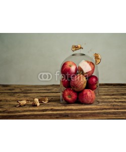 Nailia Schwarz, Fruit Bugs