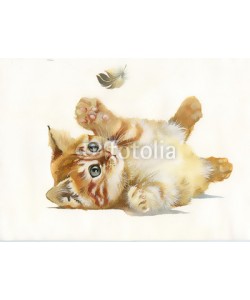 Nadiia Starovoitova, Watercolor Animal Collection: Cat and feather