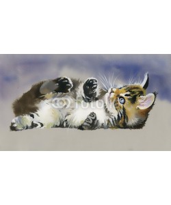 Nadiia Starovoitova, Watercolor Animal Collection: Cat