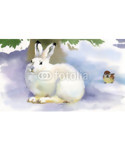 Nadiia Starovoitova, Winter rabbit