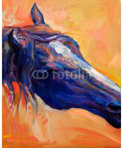 Boyan Dimitrov, Blue horse