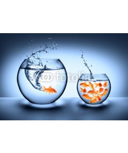 Romolo Tavani, goldfish jumping - improvement concept