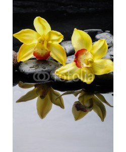 Mee Ting, still life with yellow  orchid on pebbles with reflection