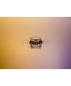 nasared, Wassertropfen, Tropfen, Water Drop