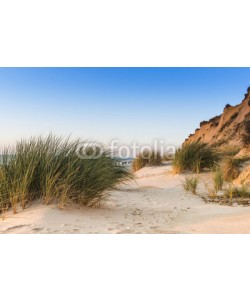reachart777, Dune with beach grass in the foreground.