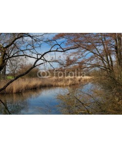 dina, Frühjahr am See