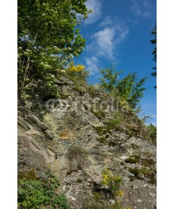 dina, Perlebachtalsperre bei Monschau, Eifel