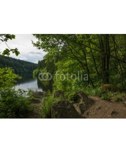 dina, Perlebachtalsperre bei Monschau, Eifel