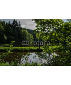 dina, Perlebachtalsperre bei Monschau, Eifel