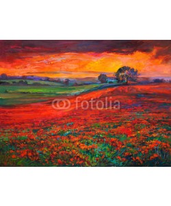 Boyan Dimitrov, Poppy fields