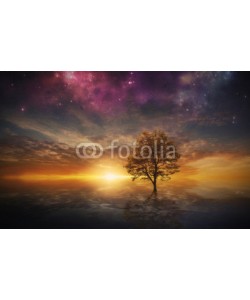 kevron2001, Surreal tree in lake