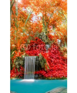 casanowe, Wonderful Waterfall and red leaf in Deep forest at National Park