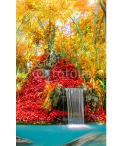 casanowe, Wonderful Waterfall and red leaf in Deep forest at National Park