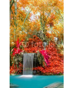 casanowe, Wonderful Waterfall and red leaf in Deep forest at National Park