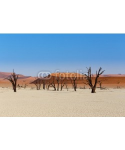 artush, Sossusvlei beautiful landscape of death valley