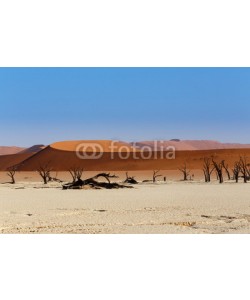 artush, Sossusvlei beautiful landscape of death valley