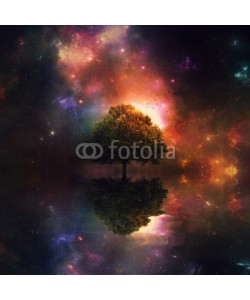 kevron2001, Night sky and tree