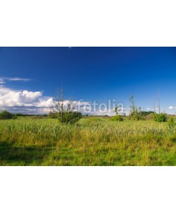 dina, Landschaft  bei Rogeez, Mecklenburg-Vorpommern