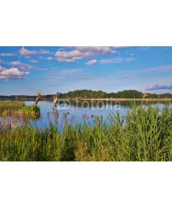 dina, Naturparadies Stuerscher See bei Stuer, Mecklenburg-Vorpommern,